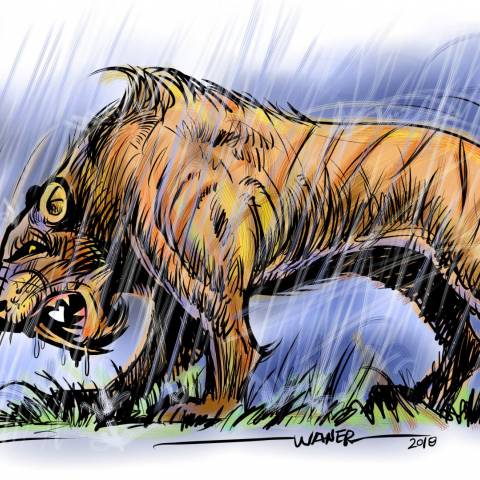 Sabertooth in the Rain