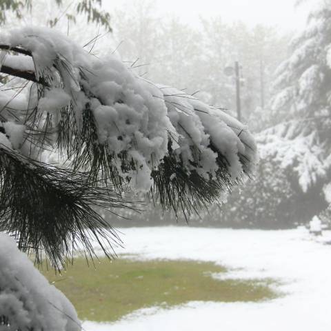 Ôba, Neve!