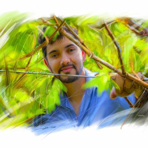 Pós-graduado e Doutorado